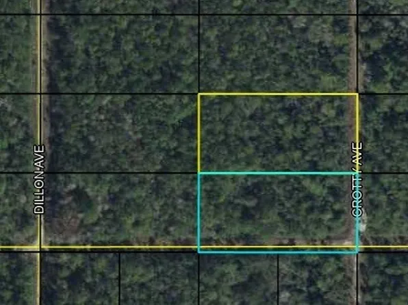 Crotty Ave, Hastings, FL 32145