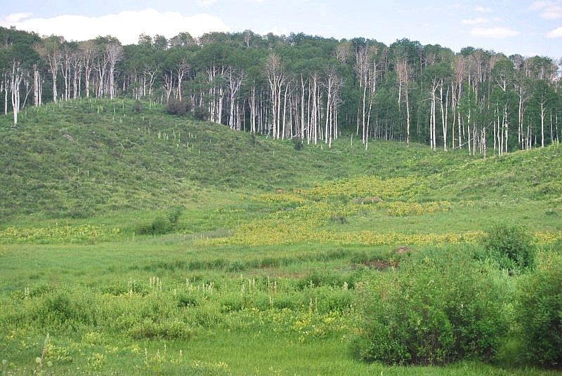 1st image of TBD County Road 11