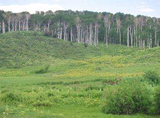 Tbd County Road 11, Craig, CO 81625