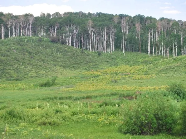 Tbd County Road 11, Craig, CO 81625