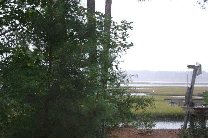 1st image of 132 Pine Forest Dr