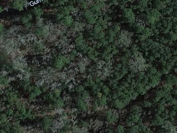 0 Woodbridge Rd, Saint George, SC 29477