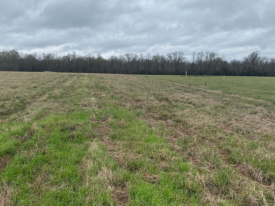 2nd image of 137 Timber Ridge Rd
