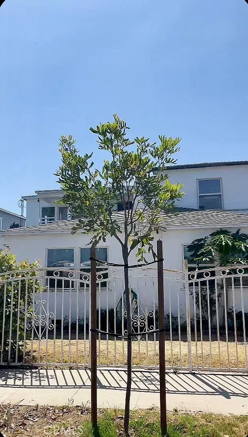 2 bed, 1200 sqft, $3,500 — Photo 1