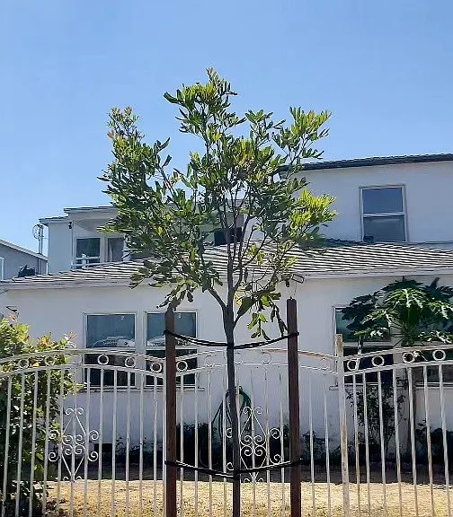 2220 Delaware Ave #C — Photo 1