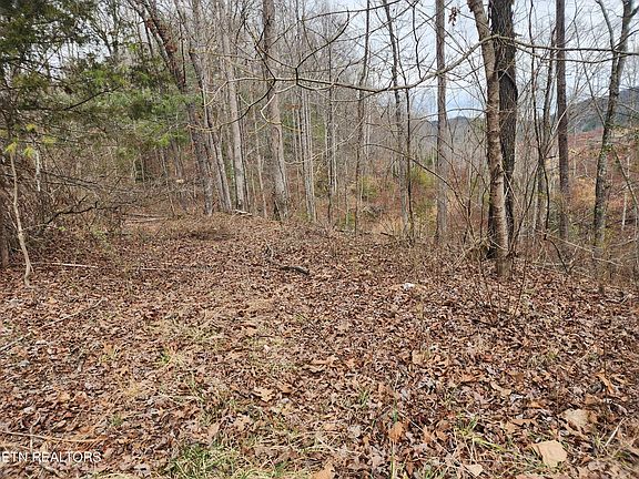 3rd image of Old Harriman Highway Morgan County Hwy