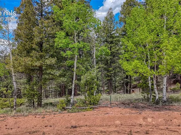 26 N Eldorado Cir, Florissant, CO 80816