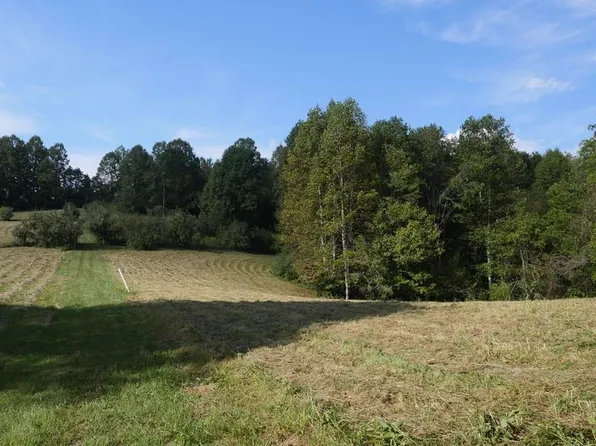 Shoals Ln, Hiltons, VA 24258