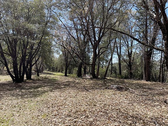 2nd image of PARCEL Armstrong Rd #B