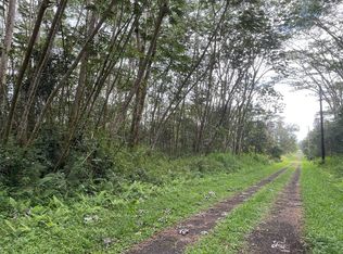 Paradise Rd LOT 292, Pahoa, HI 96778