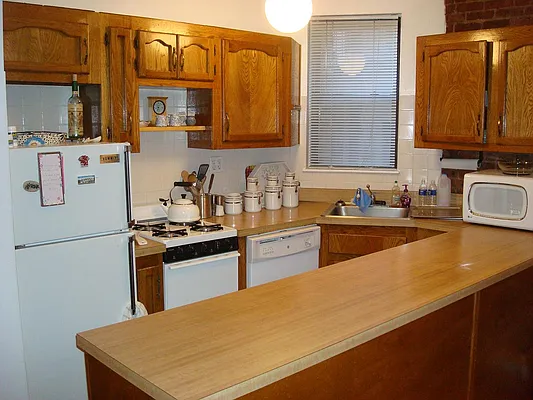 Rented by Manhattan Flats | media 14