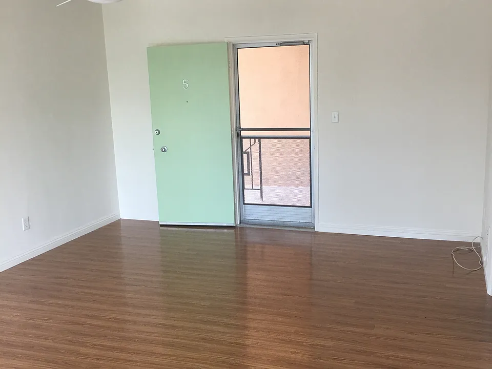 Living room and entrance