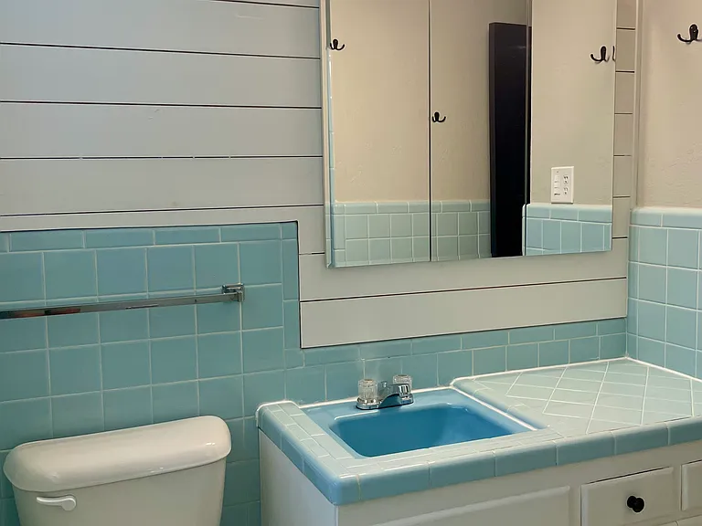 Hall bath