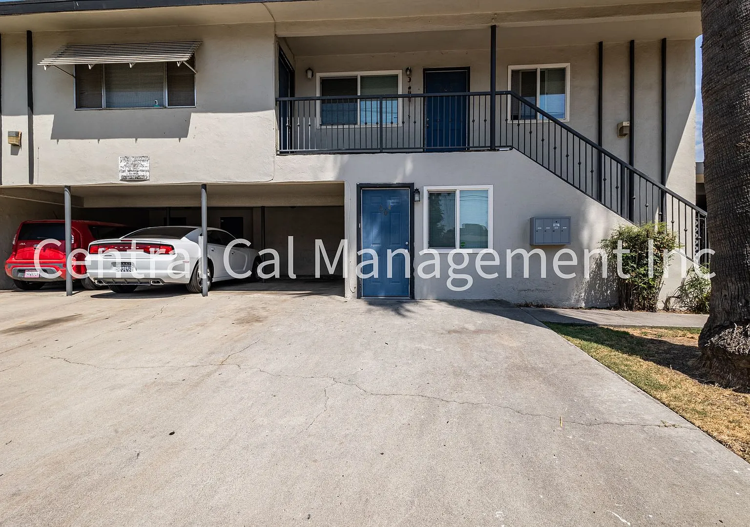 2334 Dracena St — Photo 2