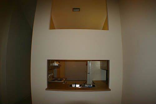 Pass through window