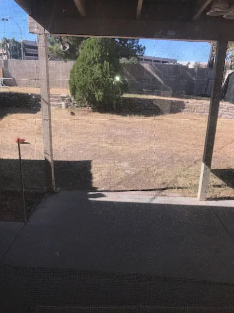 4 bed, 1777 sqft, $2,300 — Photo 3