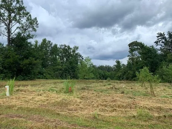 Parker St, Wewahitchka, FL 32465