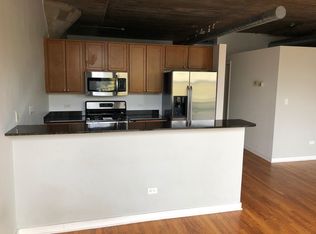1069 W 14th Pl UNIT 213, Chicago, IL 60608