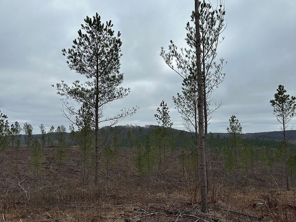 1st image of 24 Thomas Springs Rd Lot 24