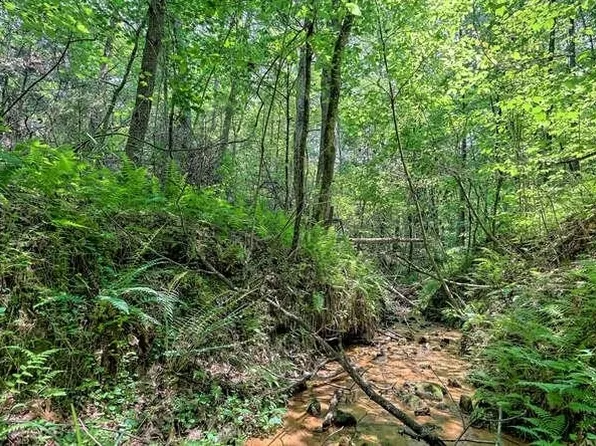 7 Old Panther Mill Trl, Clarkesville, GA 30523
