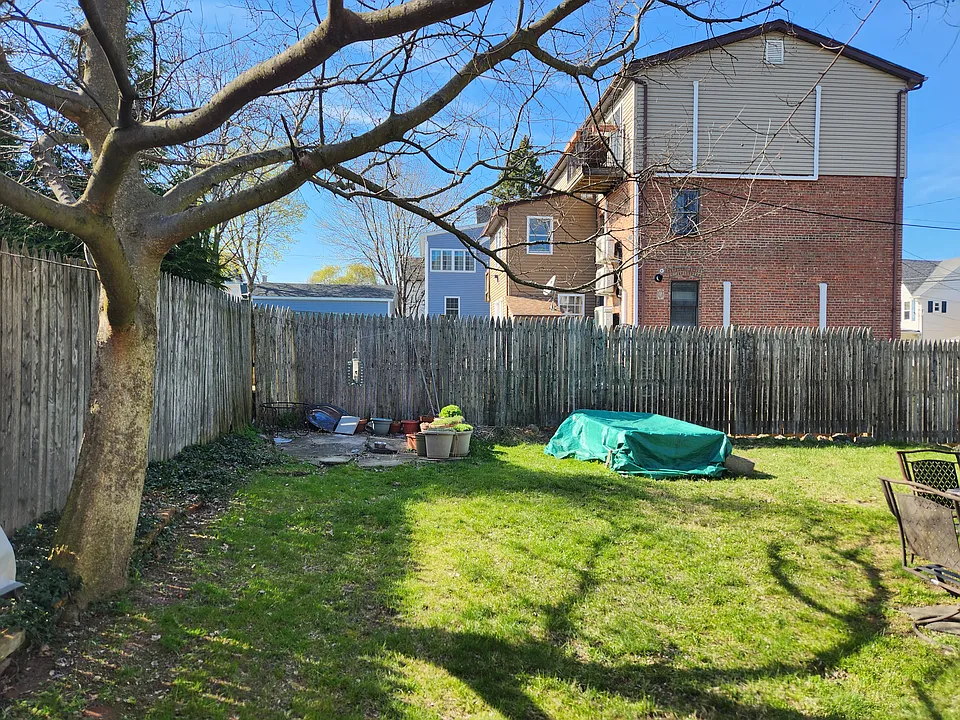 Backyard, again