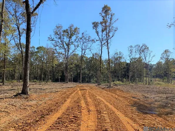 1B Highway 63, Clinton, LA 70722