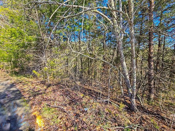 5th image of 12 White Oak Tree Ln Lot 12R