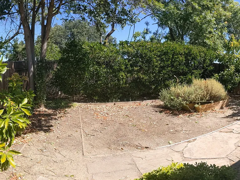 Backyard.