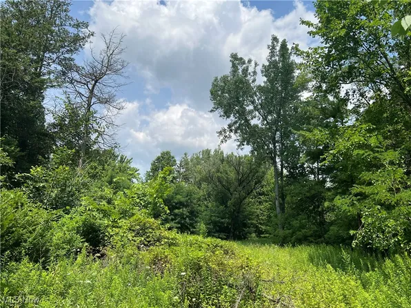 27218 Bagley Rd, Olmsted Township, OH 44138