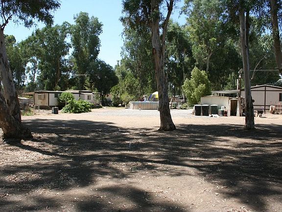 Flat property with mature trees