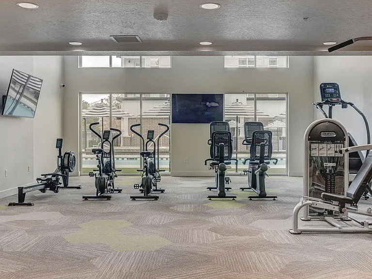 Harmony 3900 — Photo 25