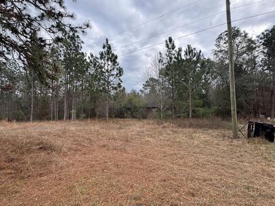 7225 Beulah Ln, Baconton, GA, 31716
