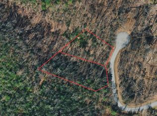 601 Escape Mountain Rd, Hampton, TN 37658