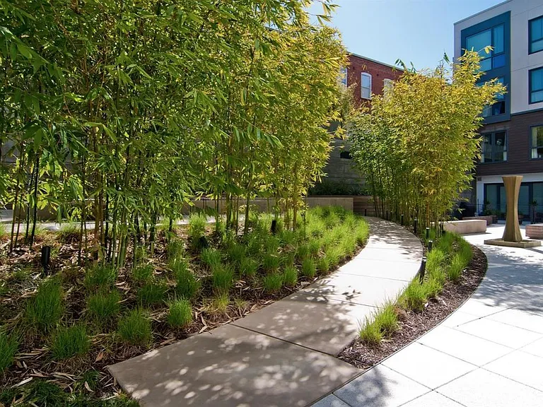 2125 Bryant St #318 — Photo 15