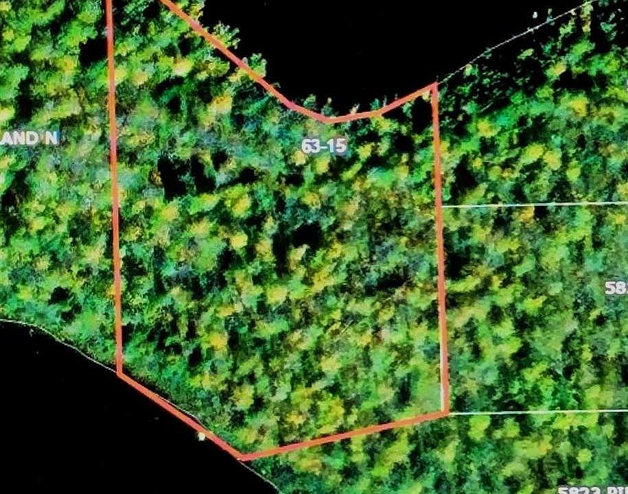 2nd image of Xx Pine Is NW