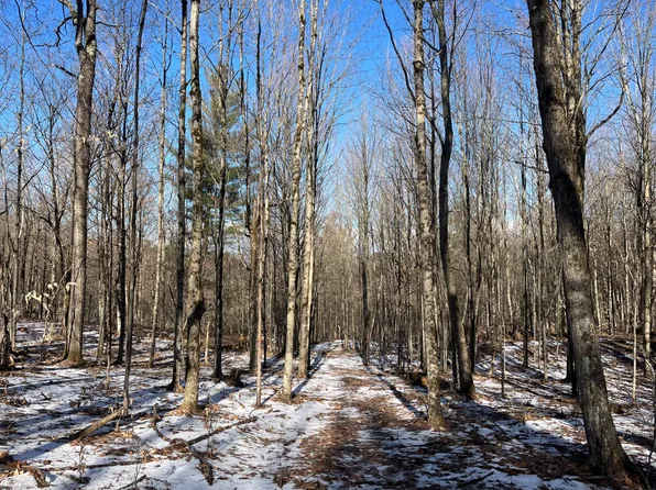 0 Lafaver Rd #2, Hermon, NY 13652