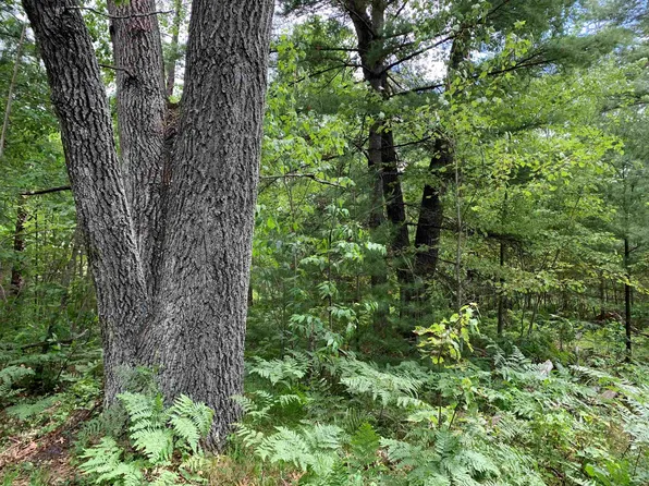 Oxbow Ln #13, Wausaukee, WI 54177