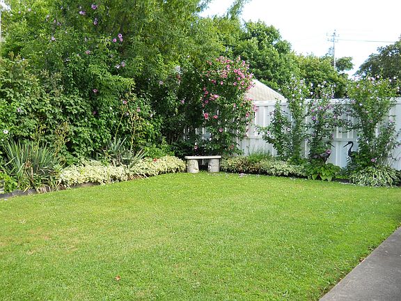 Back yard