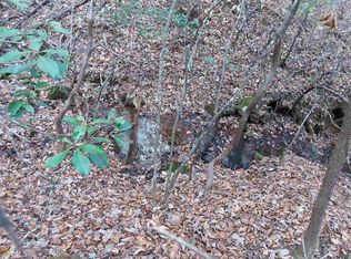 0 High Shls #27, Dahlonega, GA 30533