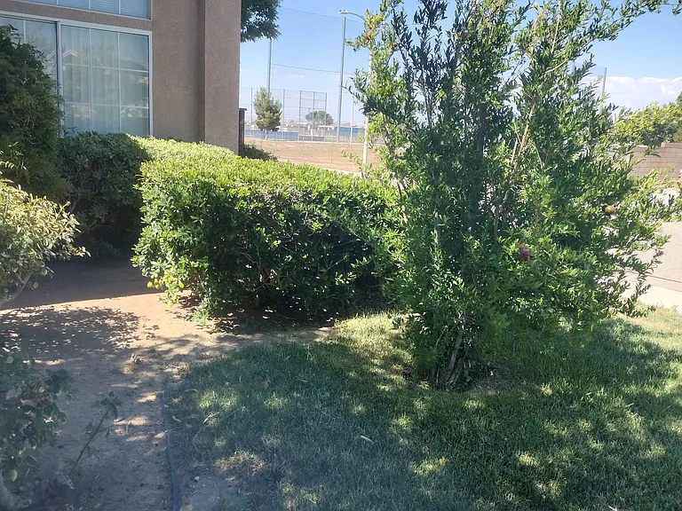 6303 Prairie Ct — Photo 3