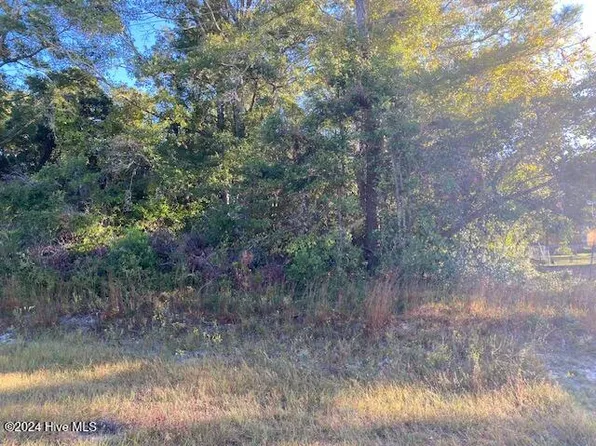 1696 Chadwick Landing Drive SW, Shallotte, NC 28470