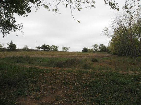 Pond dam, north field