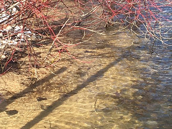 Sandy shoreline of Lot 197