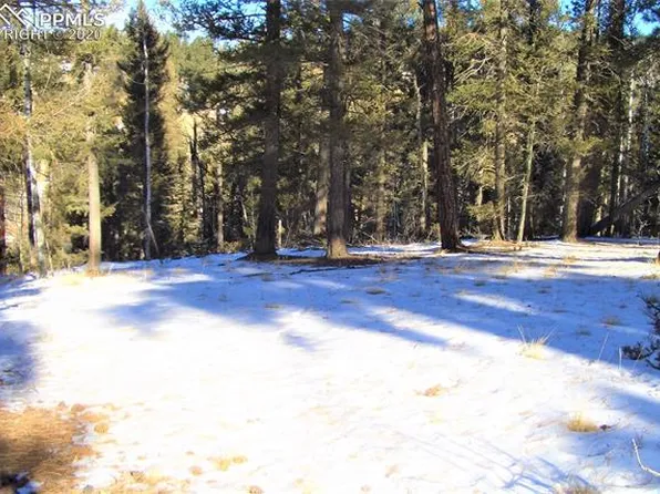 23 Oregon Cir, Florissant, CO 80816