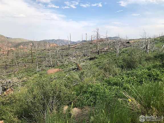 4th image of Meadow Mountain Dr