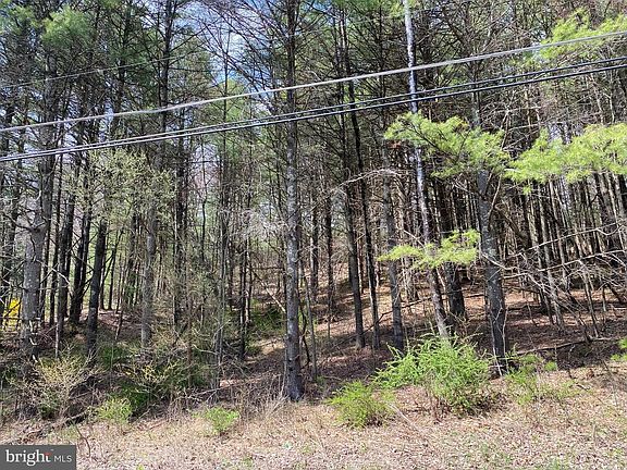 3rd image of LOT Two Haney Rd