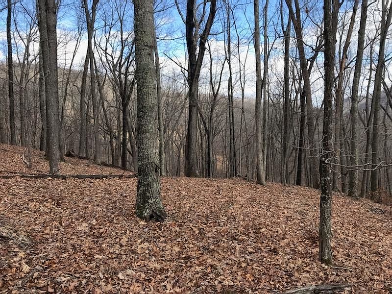 1st image of 35 Dogwood Ln