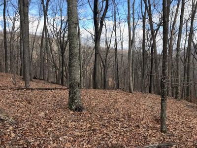 35 Dogwood Ln, Monterey, VA, 24465