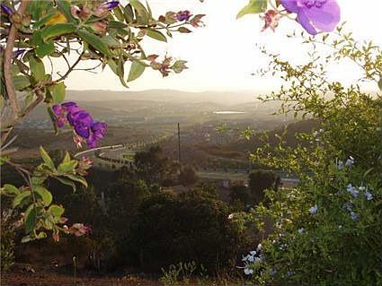 Backyard view towards ocean