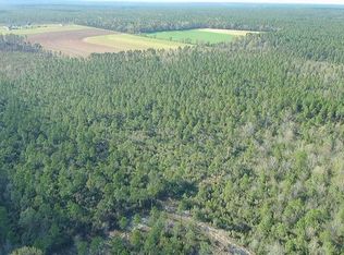 LOT 2 Red Cloud Rd, Jay, FL 32565